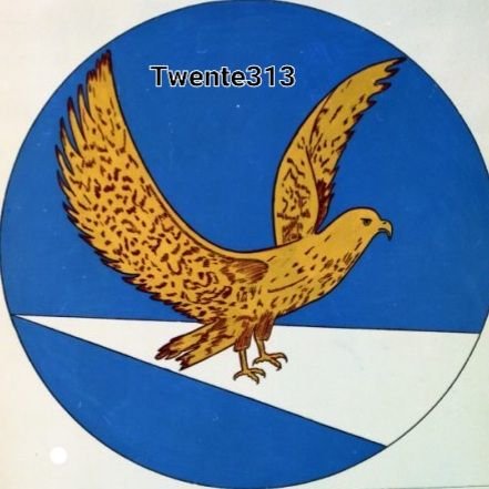 Twente313 Profile Picture