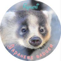 ayumiページ♡⃜ AMBIDEX Store △ 〇キュプラシワサテン レイヤードパンツ (F