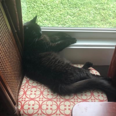 drewciferbrewer's profile picture. Professional Brewer from Chattanooga, TN, worked for North Coast Brewing in Fort Bragg, CA, co-owner of a brewery in Knoxville, TN. Vocal lefty treehugger punk.