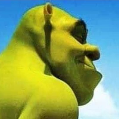 LeftGardener's profile picture. A new alt account to prevent me from shitposting on main. Upstate NY lefty anti-fash. Down with the rotten (super-)system(s)
#JusticeforDanielPrude #BLM