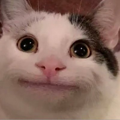 RunnerEye's profile picture. 