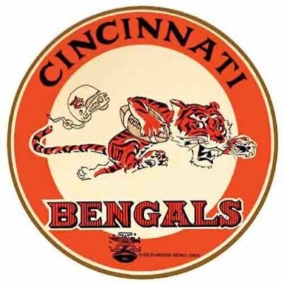 Bengals Stats Profile