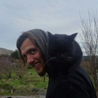 Paul Löffler (@ploeffler_) 's Twitter Profile