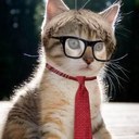 Cameron Dobbs - @stankypoodle - Twitter