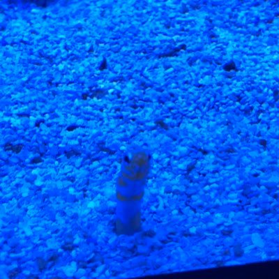 donpanama2016's profile picture. 