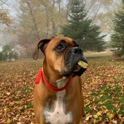 Ava47894753's profile picture. 