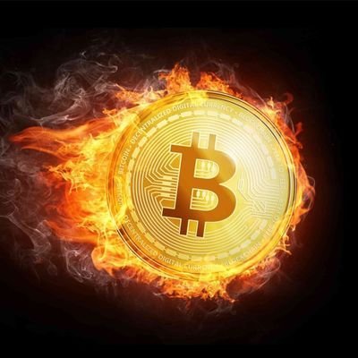 ManjuJo35667396's profile picture. #Cryptolover #BTC #DOGE #SOLANA #ADA