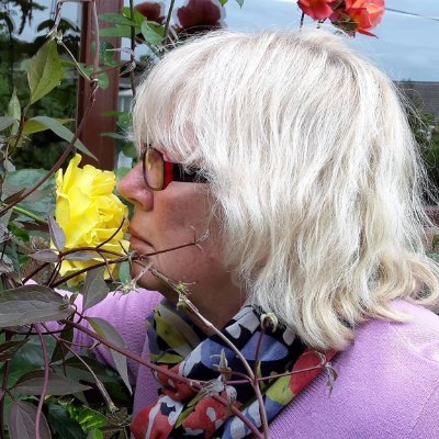 Life in the countryside can be very interesting , living here near the Dorset Jurassic coast . Been on Twitter since its birth . I am fed up with politicians !