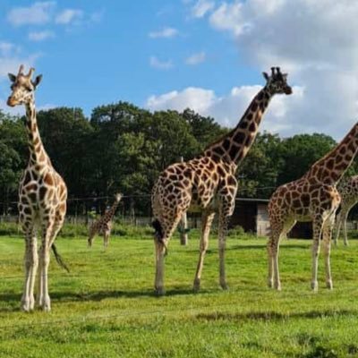 talism790's profile picture. Shopping,eating out,sleeping, watching Netflix