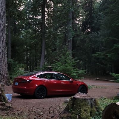 BMoSDE's profile picture. 