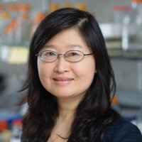 Liang Deng, MD PhD (@liangdenglab) 's Twitter Profile