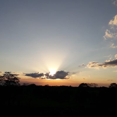 Irazema14973994's profile picture. Ser auténtica