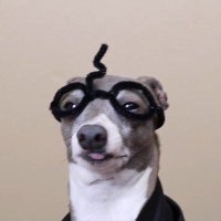 cermet (@nocontextcermet) 's Twitter Profile
