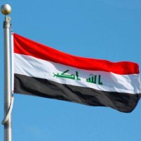 محمد شفيق (@momshf9) Twitter profile photo