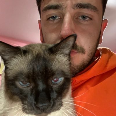 bicluc's profile picture. RSG