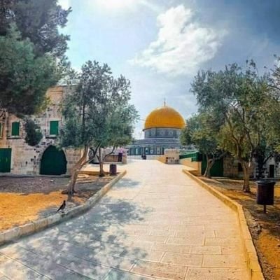 928rjGXLSoyPvz3's profile picture. ‏‏‏مسلم فلسطيني لاجئ ،،
بلدتي الأصلية الجية التي لها عائد بإذن الله .