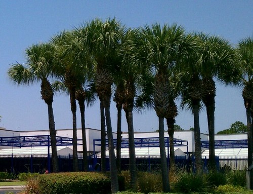 cherylcook1's profile picture. Be kind ❤️