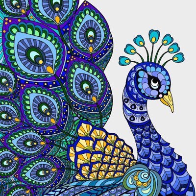 Valba65587187's profile picture. Carismático ,sociable y con mucha imaginación.