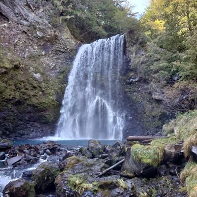 onuma1yuko2's profile picture. 