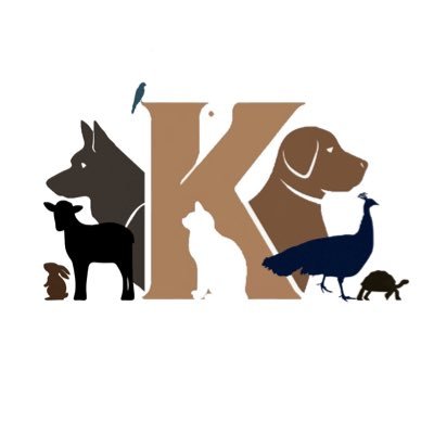 🐾 Supporter account. Not affiliated with Kabul Small Animal Rescue. R/T's not endorsements and opinions are my own. 🐾