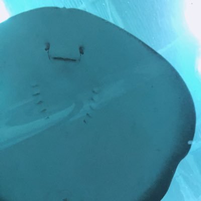 noun👻さんのプロフィール画像