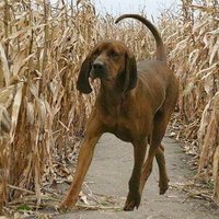 Rae Owen (@raeowen14) 's Twitter Profile Photo