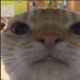 M (@yeajdkk) Twitter profile photo M (@yeajdkk) Twitter profile photo