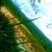 Yausentani (@yausentani3) Twitter profile photo Yausentani (@yausentani3) Twitter profile photo