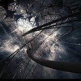 ngdph00's profile picture. 