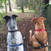 Sandy Lanceley (@sandylanceley) 's Twitter Profile Photo Sandy Lanceley (@sandylanceley) 's Twitter Profile Photo
