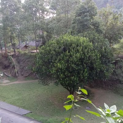 SukaSelfie_ID's profile picture. Inget . saya cwo !!!
sini sini bdg ... Suka pijit tante ...