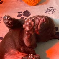 t-dawgxing (@t_dawgxing) 's Twitter Profile