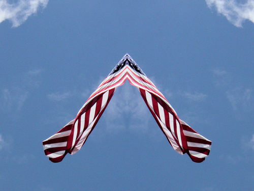 stonefuel's profile picture. 