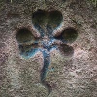 Grüner Klee🇮🇱🎗️ (@ernstbarlach1) Twitter profile photo