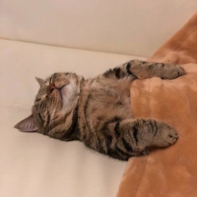 Paskie02's profile picture. ☁️✨