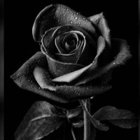 AHMED .. 🖤 (@op430) 's Twitter Profile Photo AHMED .. 🖤 (@op430) 's Twitter Profile Photo