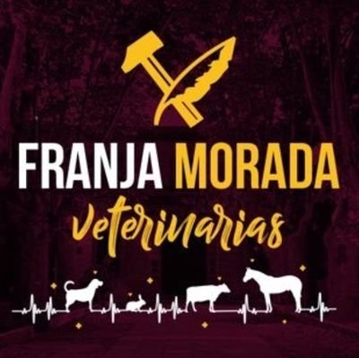 Conducción del Centro de Estudiantes de Ciencias Veterinarias | UNLP.
 En defensa de la educación pública SIEMPRE 🐾🔬💜