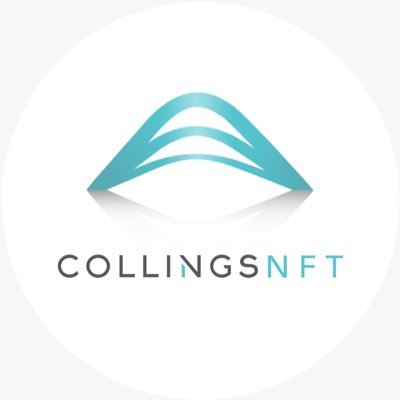 collingsnft Profile Picture
