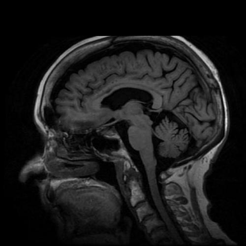 C_Petrie's profile picture. 