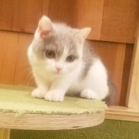 takeru (@k5eyklz3h3ck6rr) Twitter profile photo