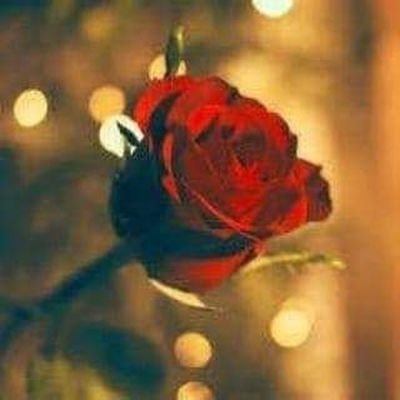 என்றென்றும் அன்புடன்......💞❤️💞
