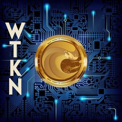 TokenWtkn's profile picture. WTKN Token