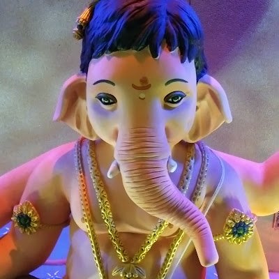 SahilCh95106688's profile picture. 