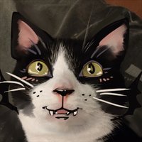 Trell! 🌈 (@sfprtrell) 's Twitter Profile