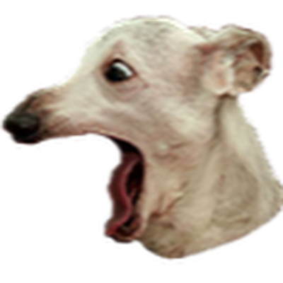 MyhailoDmytrash's profile picture. 