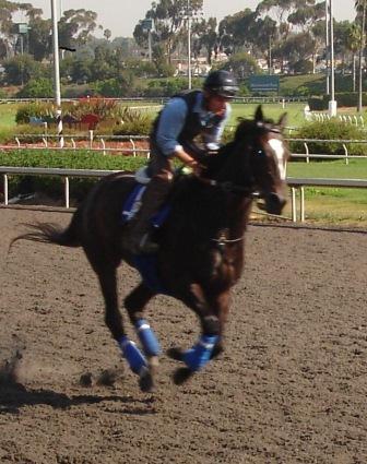 Clocking the Southern California thoroughbred circuit since 1990.