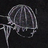 Jack Sperling (@jacksperll) 's Twitter Profile