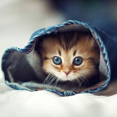 Ani3291's profile picture. Open University👩🏽‍🎓
Student

A mother of 5 little Humans!
B329