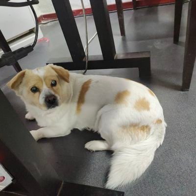 214035021's profile picture. 