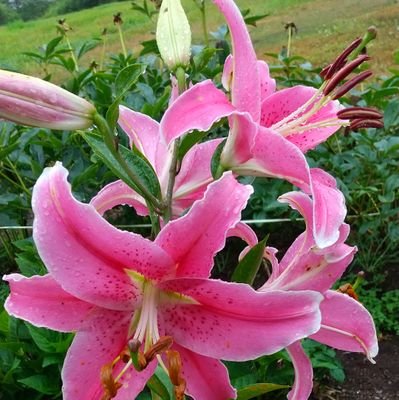 casabla14023170's profile picture. 火が好きです…炎を見て居ると癒されます。
                             #名もなきXデモ連盟🌟